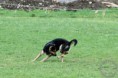 /album/a02-05-2015-skusky-ipo-turcianske-klacany/a11156156-883047875086863-4097612096495528833-n-jpg/